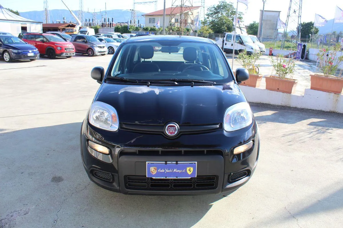 FIAT - Panda - 1.0 FireFly S&S Hybrid